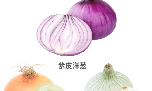 【香花菜的家常做法】香花莱的功效 - 香花菜功效网